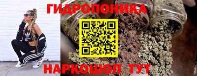 спайс Славгород