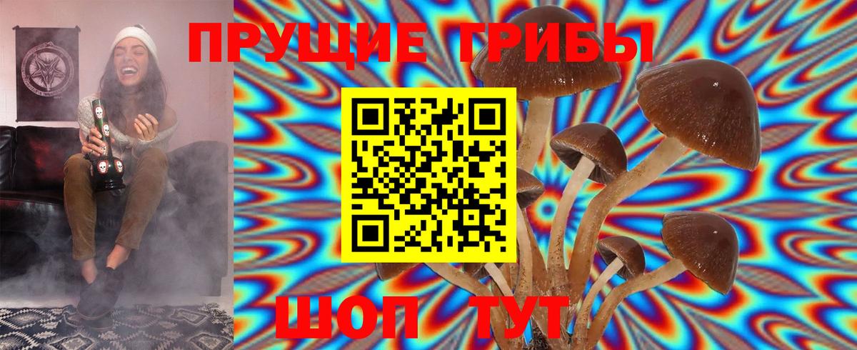 Псилоцибиновые грибы Psilocybe  Вход с VPN  хочу   Пенза 